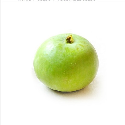 Farmonix Org_211_Tinda Apple Gourd Seeds Seed(150 per packet)