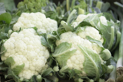 CYBEXIS NDIR-85 - Cauliflower White Vegetable - (1350 Seeds) Seed(1350 per packet)