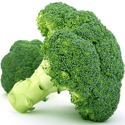 BDSresolve broccoli seeds for gardening Seed(28 per packet)