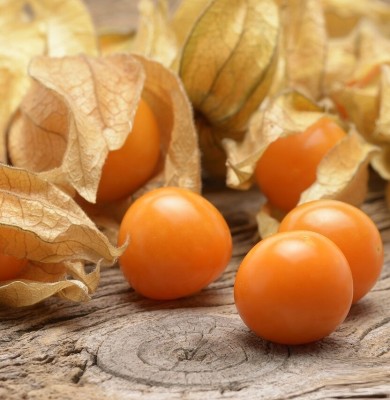 QALANDAR Cherry Husk - Cape Gooseberry Seed(30 per packet)