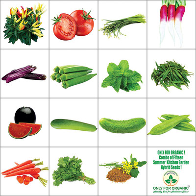 CYBEXIS Combo 15 Summer Hybrid Seeds Seed(10 g)