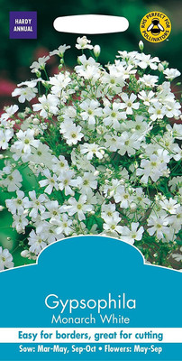 CYBEXIS Gypsophila Monarch White Seed(50 per packet)