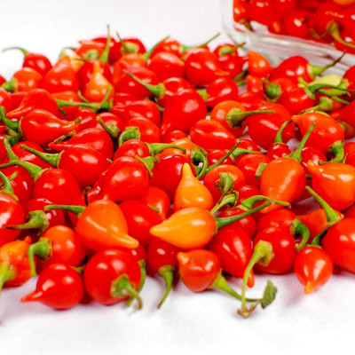 KNESSiN Fast Growing Pearls Chilli Vegetable Seeds For Gardening-(1200 Seeds) Seed(1200 per packet)