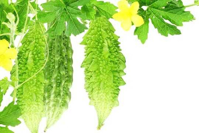 Oliver F1 BEST QUALITY BITTER GOURD SEEDS Seed(27 per packet)