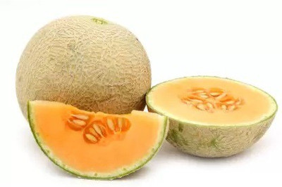 VibeX Muskmelon Seed(1350 per packet)