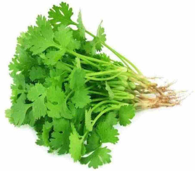 SEMINA VITA dhania seeds Seed(204 per packet)