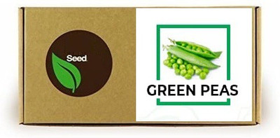 CYBEXIS Green Peas1600 Seeds Seed(1600 per packet)
