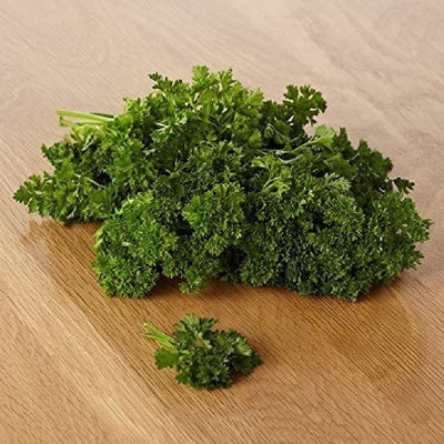 CYBEXIS NBIR-59 - Curly-Leaf Parsley Paramount Green - (750 Seeds) Seed(750 per packet)