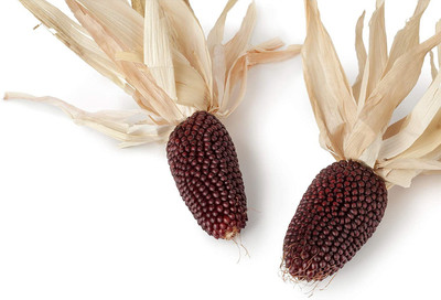VibeX ® VMR-668 Strawberry Popcorn Seed Seed(500 per packet)