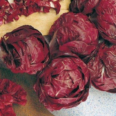 CYBEXIS Heirloom Purple Chicory - Rossa di Verona Seeds2000 Seeds Seed(2000 per packet)