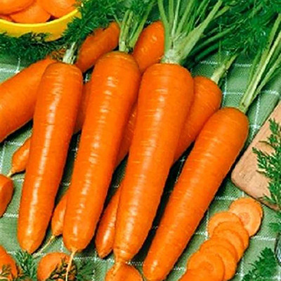 CYBEXIS Hardy Carrot Seeds(Orange)2000 Seeds Seed(2000 per packet)