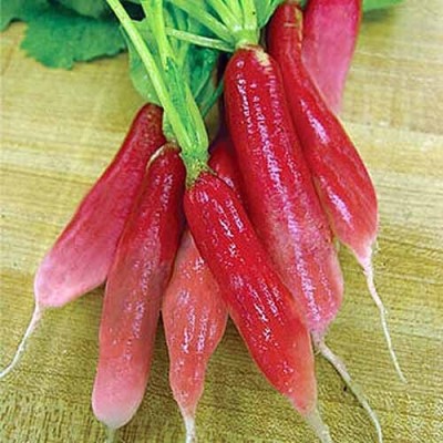 Lorvox Red LongRadish (Mooli Ke Beej) Seed(800 per packet)