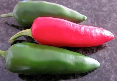 Gachwala Bullet Green Chili Seeds Seed(50 per packet)