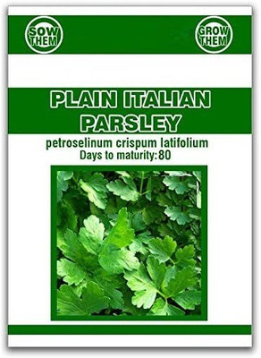 CYBEXIS LX-64 - Italian Flat Leaf Organic Parsley - (2250 Seeds) Seed(2250 per packet)