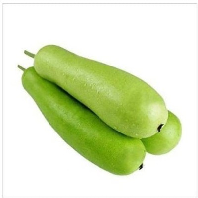 Qualtivate RES-9A Hybrid Bottle Gourd (Long) Seeds Seed(50 per packet)