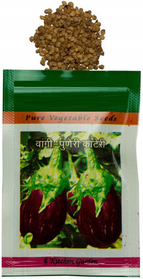 CYBEXIS HUA-99 - Brinjal (Eggplant/Vangi) -Puneri Kateri - (1350 Seeds) Seed(1350 per packet)