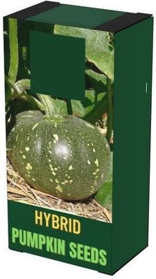VibeX ® XXL-260 PUMPKIN/KADDU/SEETAFAL SEEDS Seed(50 per packet)