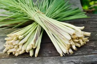 MAA Lemon Grass Seed(60 per packet)