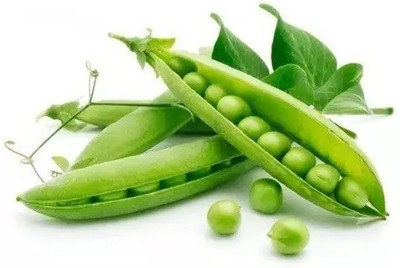 Quentova Peas Matar Super Sweet-LNT-11P Seed(100 per packet)
