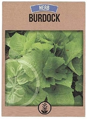 KNESSiN Burdock Seed(20 per packet)