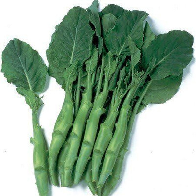 WILLVINE SCI -XII Asian Heirloom (kailan) Chinese Broccoli [2.5g] Seed(750 per packet)