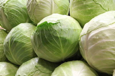 WILLVINE VNR -VII Seeds Cabbage Late Green Heirloom [25g] Seed(7500 per packet)