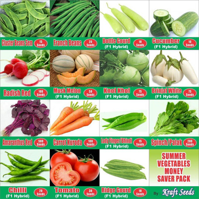 CYBEXIS Summer Vegetable Seeds Combo (15 n 1) Seed(10 g)