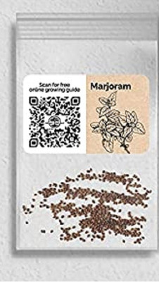 WILLVINE Organic F1 Hybrid Marjoram-5000 Seeds Seed(5000 per packet)