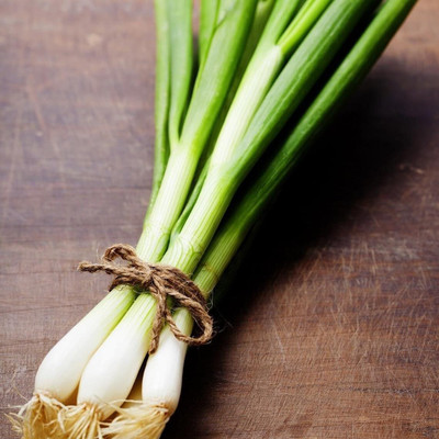 WILLVINE MEH -XIII Bunching Evergreen White Scallion Onion [50g] Seed(30000 per packet)