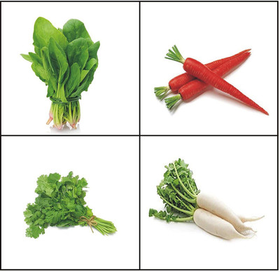 CYBEXIS Winter Combo-Coriander, Radish, Spinach,Carrot Seed(10 g)