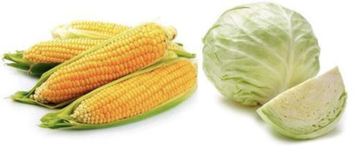 FRESHO All Mixed Vegetable Seeds Seed(275 per packet)