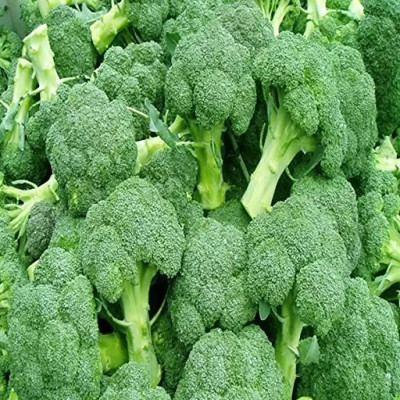 Aro Broccoli Seed(100 per packet)