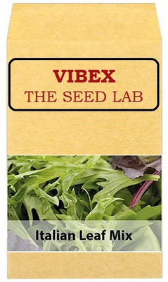 CYBEXIS Italian Leaf Mix Hybrid Seeds1000 Seeds Seed(1000 per packet)