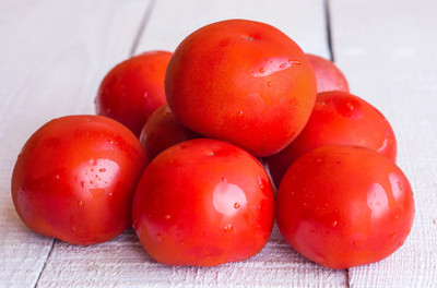 Quentova CHAMPION II TOMATO-AJ-11Y Seed(300 per packet)