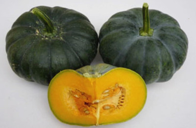 WILLVINE KRISHNA F1 Dark Hybrid Pumpkin Green High Yield Seeds-[100 Seeds] Seed(100 per packet)