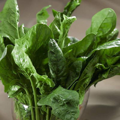 CYBEXIS Giant Plant Spinach Seeds2000 Seeds Seed(2000 per packet)