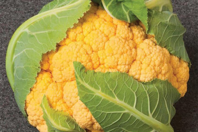 Aywal Cauliflower|Phol Gobhi Hybrid F1 Seeds for Home Gardening Seed(200 per packet)