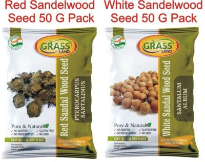 grassland Red Sandalwood & White Sandalwood Tree Seeds Combo Pack 50 Gram Each Pack Seed(100 g)