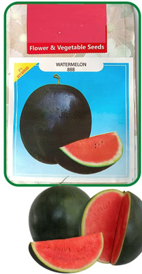 Qualtivate PUAS-6A WATER MELON (ROUND SHAPED ) Seed(100 per packet)