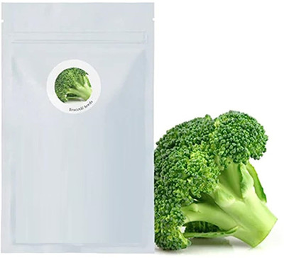 WILLVINE MEH -XI Fresh Vegetable Broccoli Seeds [1g] Seed(300 per packet)