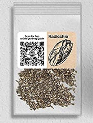 CYBEXIS Radicchio2000 Seeds Seed(2000 per packet)
