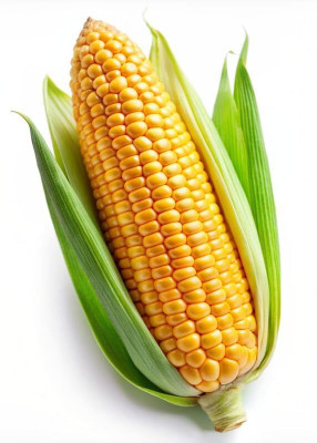 LPR BUTTA , SWEET CORN Seed(50 per packet)