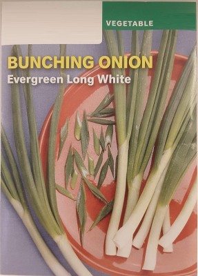 Qualtivate PUA-1A Onion Evergreen Long White Bunching Seed(500 per packet)