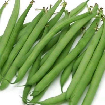 Aywal Hybrid French Beans Selection - High Yielding Seed(30 per packet)