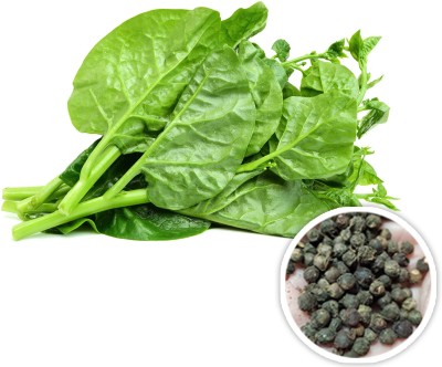 Seedsilk Store Basella Alba, Pui Shak Green Malabar Spinach Plant Seed(50 per packet)