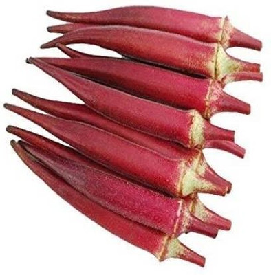 Aywal High Yield Red Lady Finger Hybrid F1 SUPREME Seed(2000 per packet)