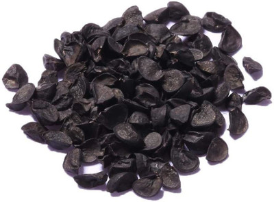 CYBEXIS Onion Seed(2000 per packet)