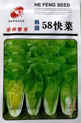 CYBEXIS Four Seasons, Green Cabbage Seeds2000 Seeds Seed(2000 per packet)