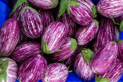 KNESSiN Fairy Tale F1 Brinjal Seeds-[10gm] Seed(2000 per packet)
