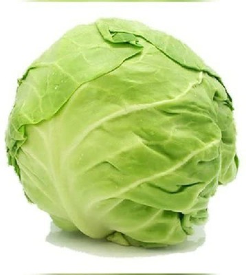 TRICONE Cabbage Seed(100 per packet)